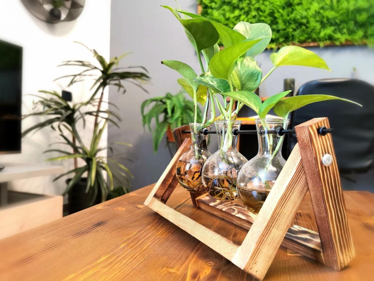 Evergreen House أغريجنتو المظهر الخارجي الصورة